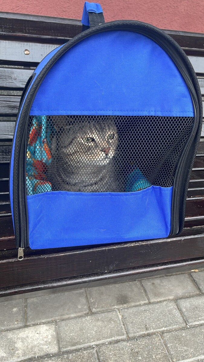 Фо о автора. На перроне. 