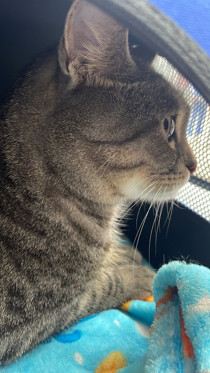 Фото автора. В поезде. 