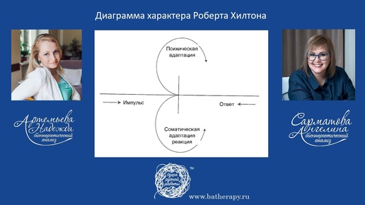 О структурах характера БА и диаграмме Хилтона.