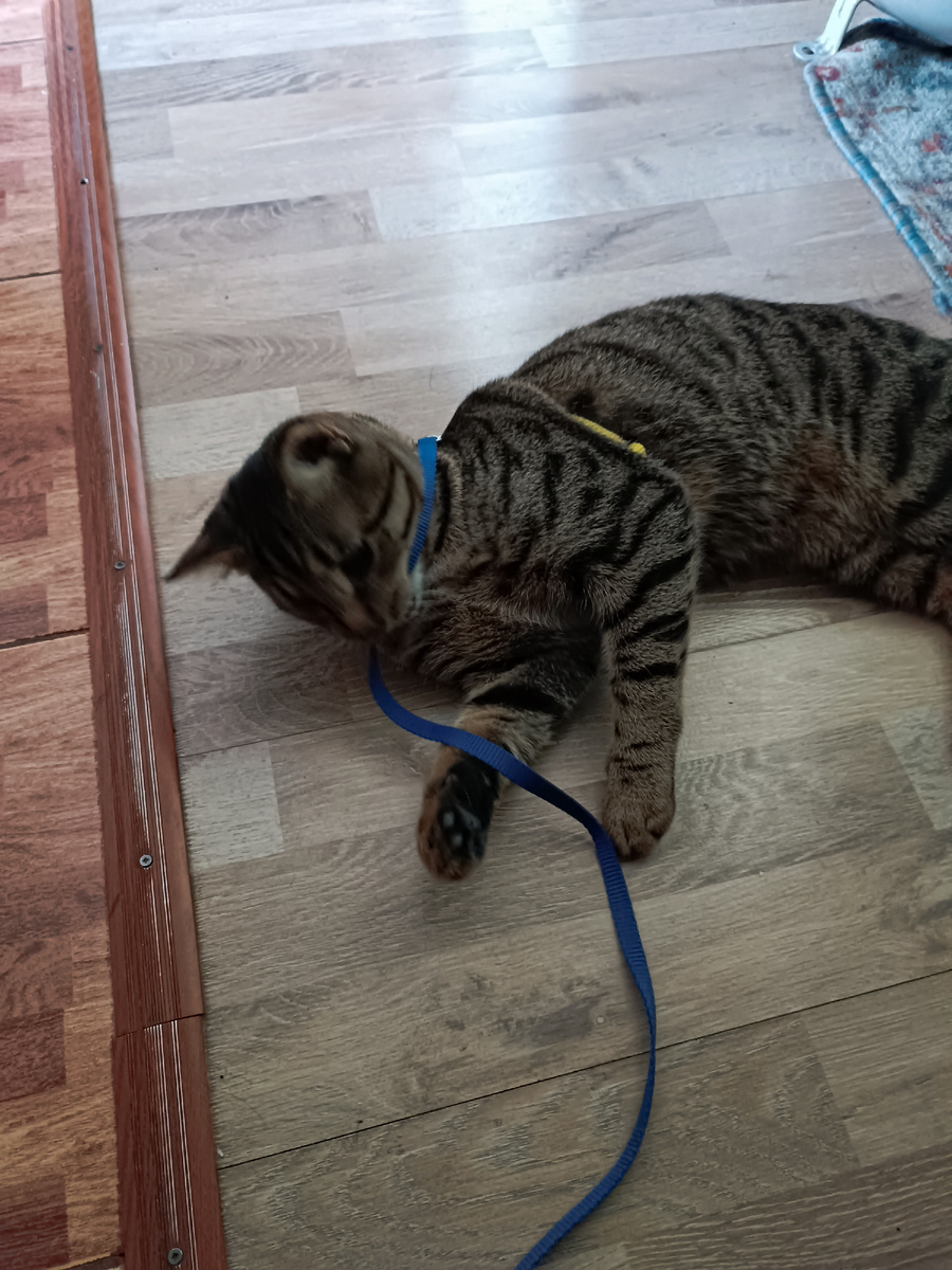 Фото автора 