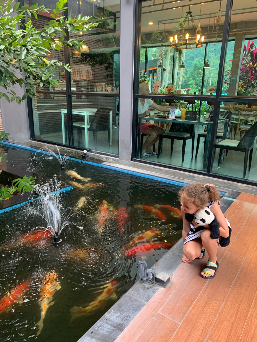 Замеки из путешествий) Символика Кой и воды еще больше подчеркивается во многих мифах и легендах, окутывающих этих рыб. В японской культуре Кой считаются символом настойчивости и решимости, особенно в истории о Кой плывущем по водопаду, чтобы стать Драконом.