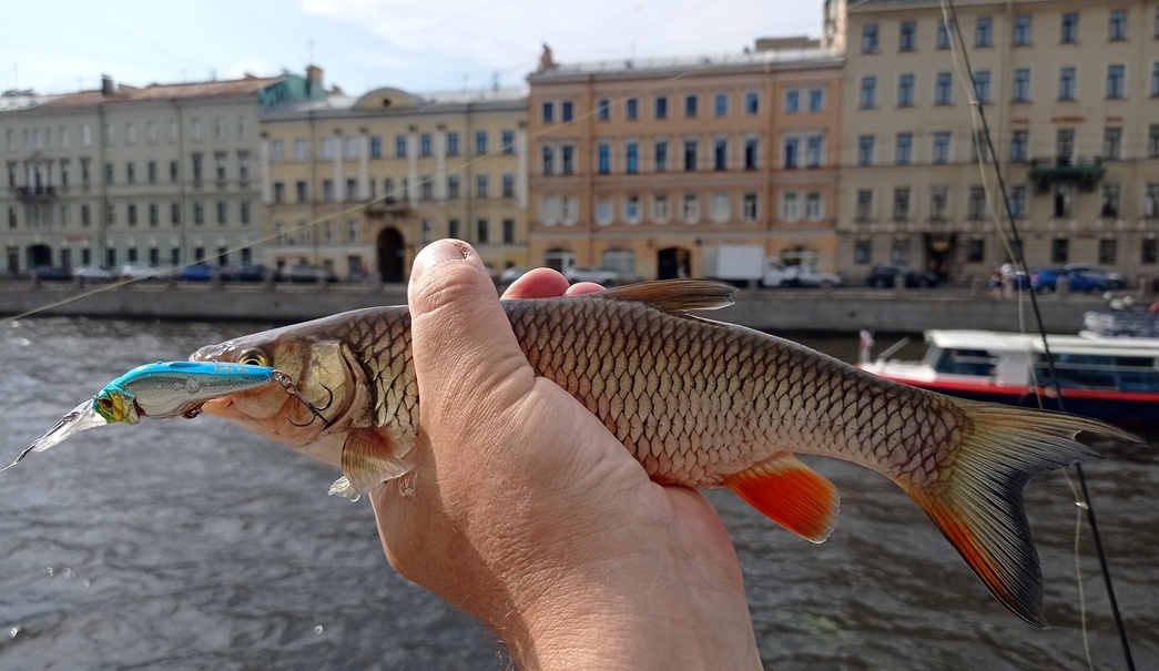 фото: Алексей Соболев