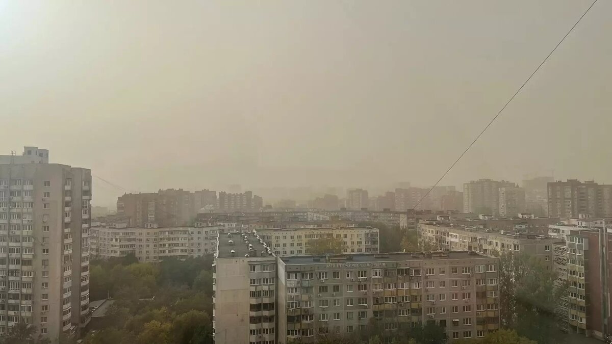    Источник: rostovgazeta.ru