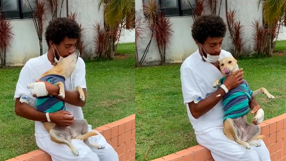    Бездомная собака несколько недель ждала своего друга — они наконец-то встретились