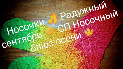 Носочки 🧦 Радужный сентябрь_СП Носочный блюз осени 🍁🍁🍁