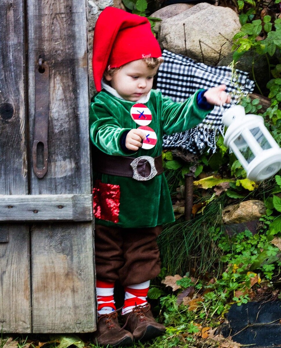 маленький гномик