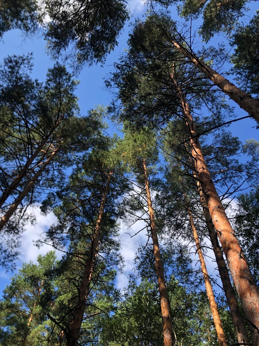 Фото моих друзей. 