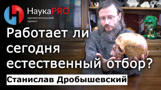 Работает ли естественный отбор сегодня? – Станислав Дробышевский | Лекции по антропологии | Научпоп