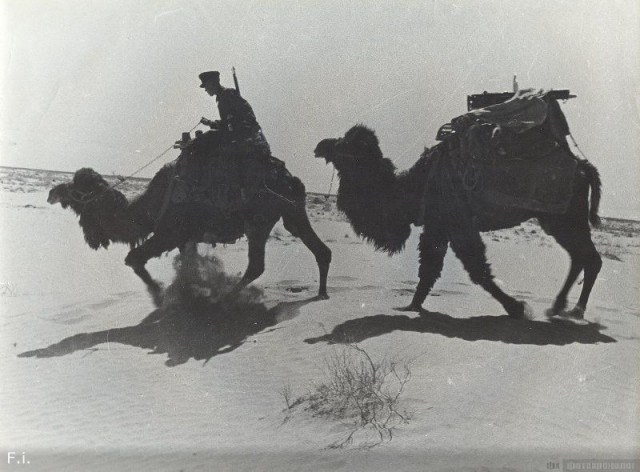 Иногда нужен отдельный верблюд, чтоб всё донести.