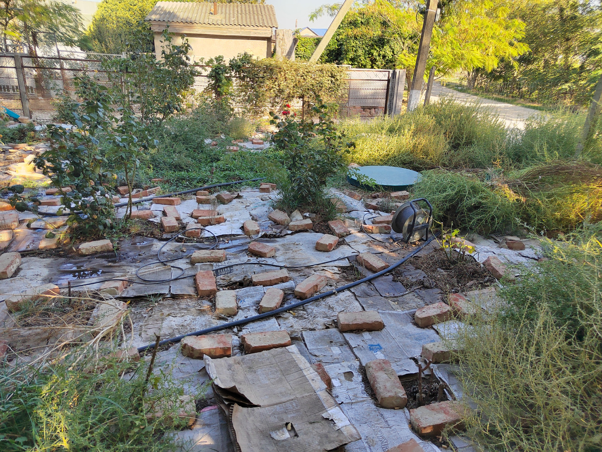 Справа видно, что, пару кустов дернула, уже полпалисадника почистила)))