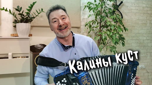 Калины куст