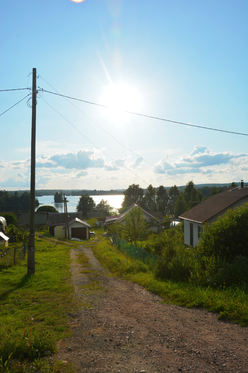 За первой линией домов виднеется синяя гладь Ведлоозера. Фото автора, июль 2024 г.