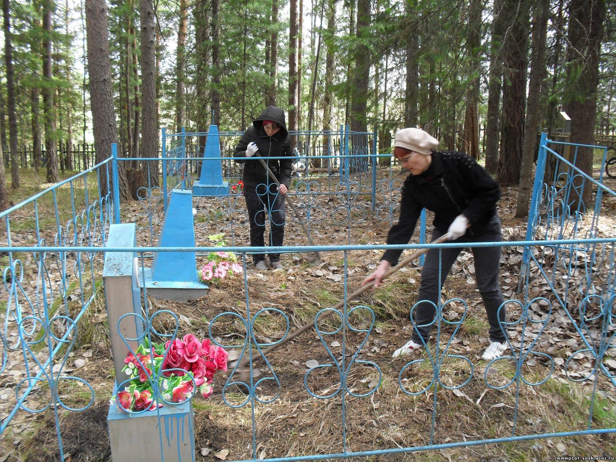 Фотография взята из источника yandex.ru