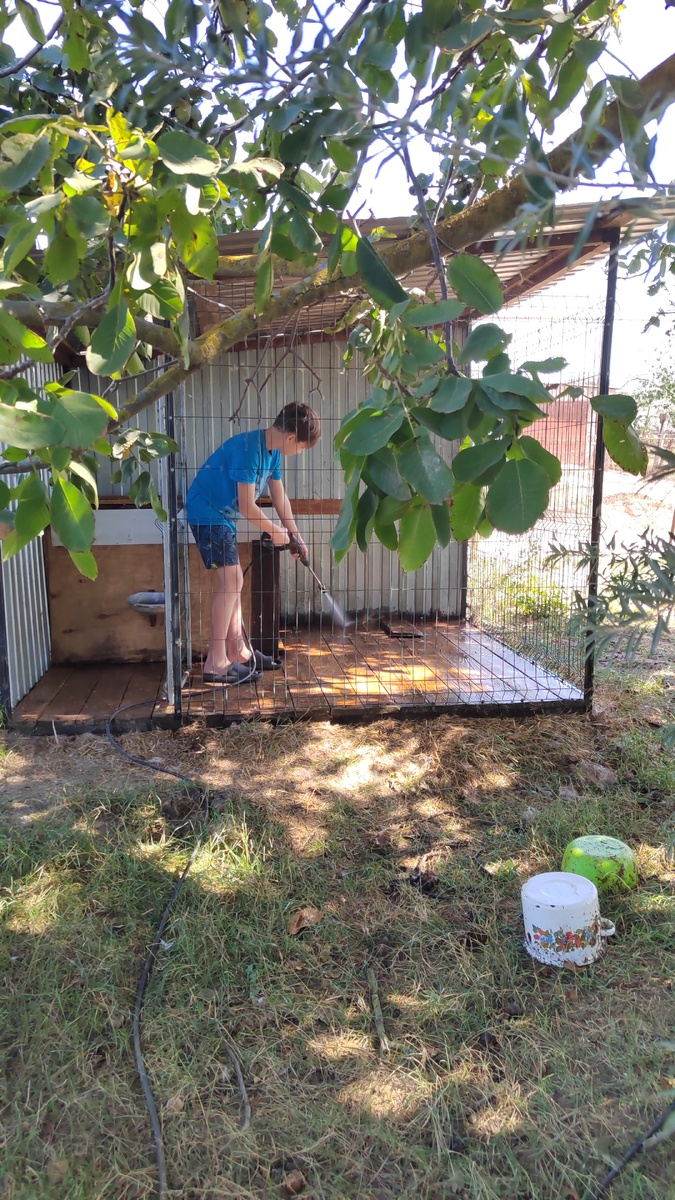 Сын развлекается