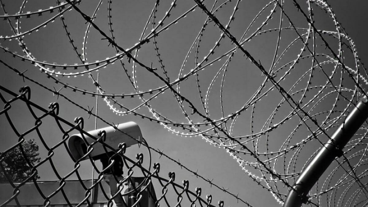    Задержанную по делу об убийстве Алешниковой освободили из-под стражиНовости Саратова и области – Сетевое издание «Репортер64»