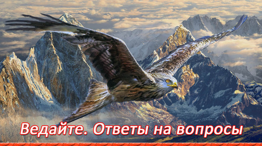 下载视频: Почему ты не говоришь что делать? Как дальше жить?