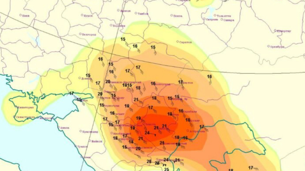    Фото: соцсети