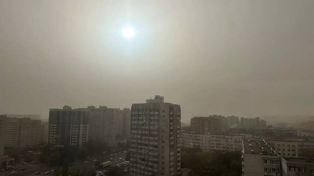     Источник: rostovgazeta.ru