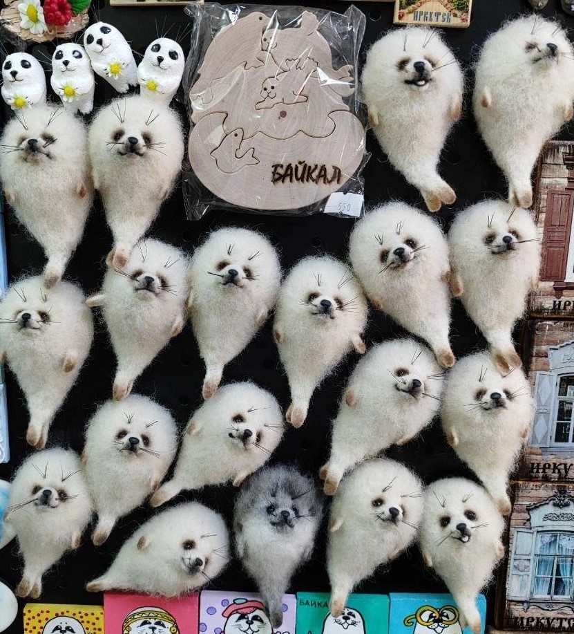 Валеные нерпочки