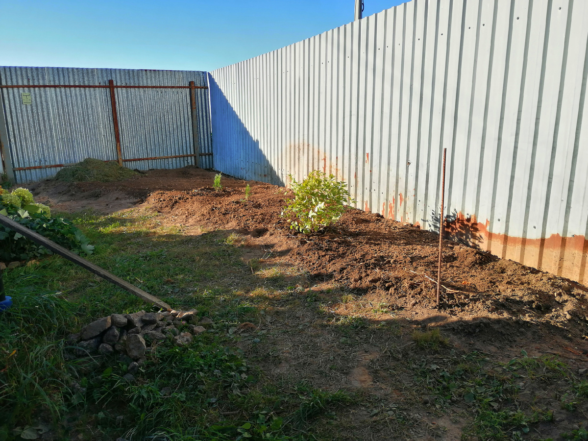 Состояние миксбордера на начало и конец недели. Не изменилось ничего. 