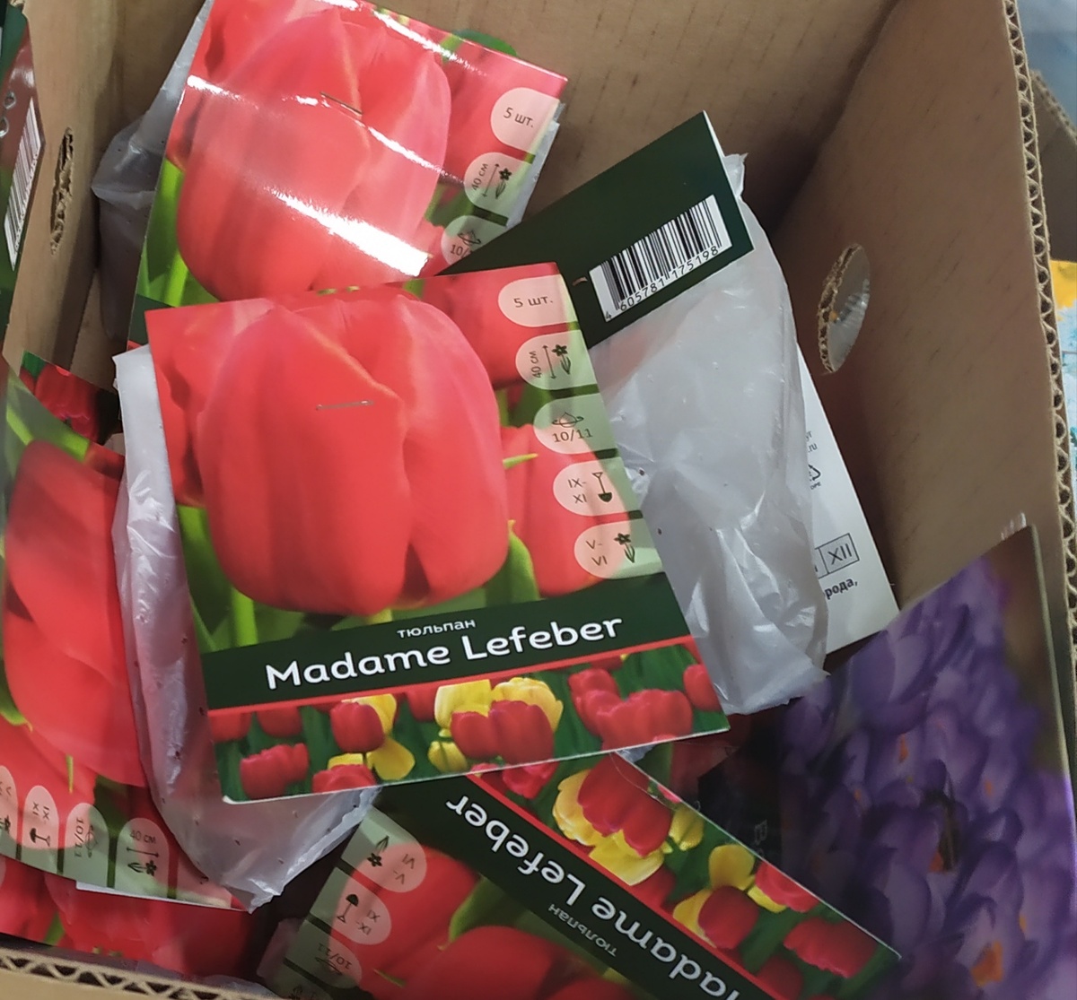 Фото автора канала Топай и лопай