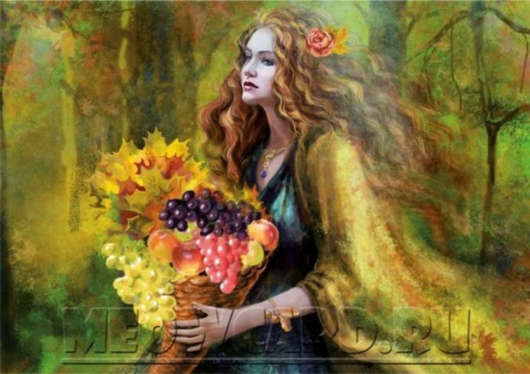 Изоббражение из открытых источников интернет