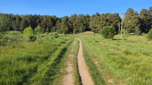 Прогулка у Клязьмы🌳😍Благодать в Больших Дворах🖐🌿Павлово-Посадский район#Подмосковье 30.05.2024