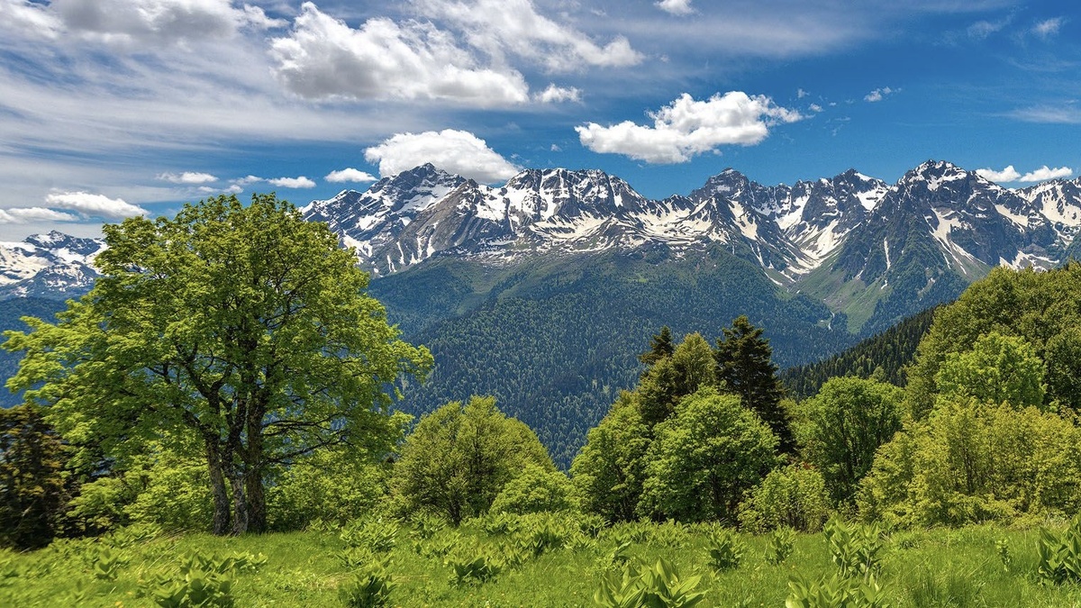 Россияне все больше интересуются путешествиями по заповедным местам