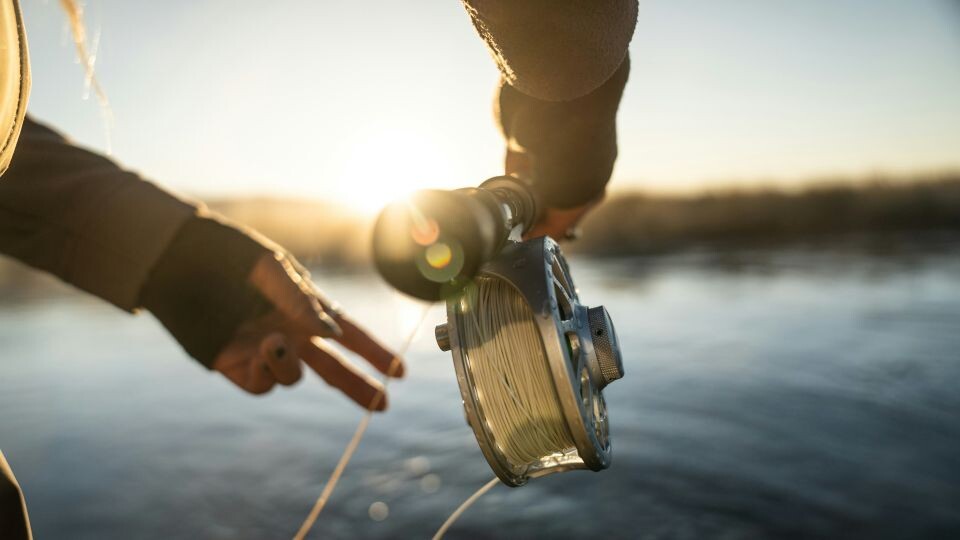    Рыбалка. Удочка. Источник: unsplash.com