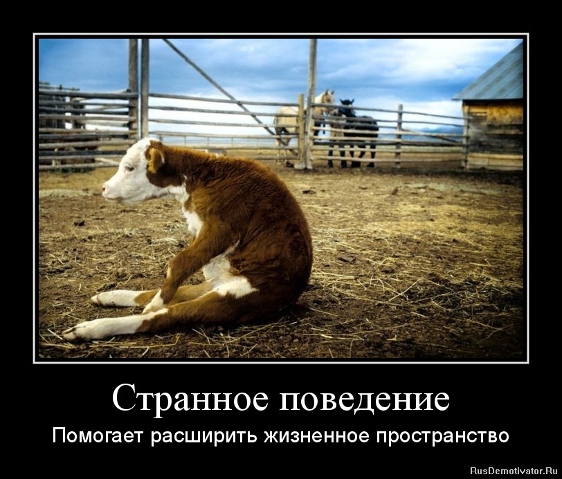 Яндекс. Открытый источник 