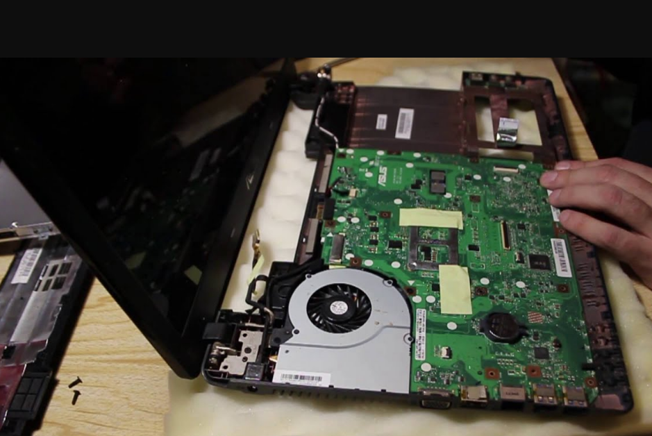 хороший бука