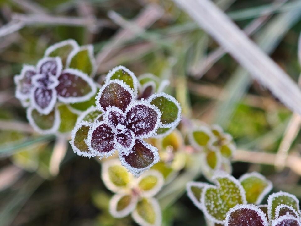    Морозное утро 30 сентября. Источник: vk.com/barneos22