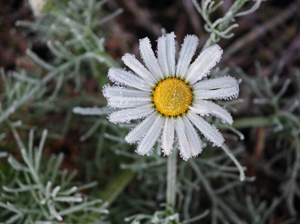    Морозное утро 30 сентября. Источник: vk.com/barneos22