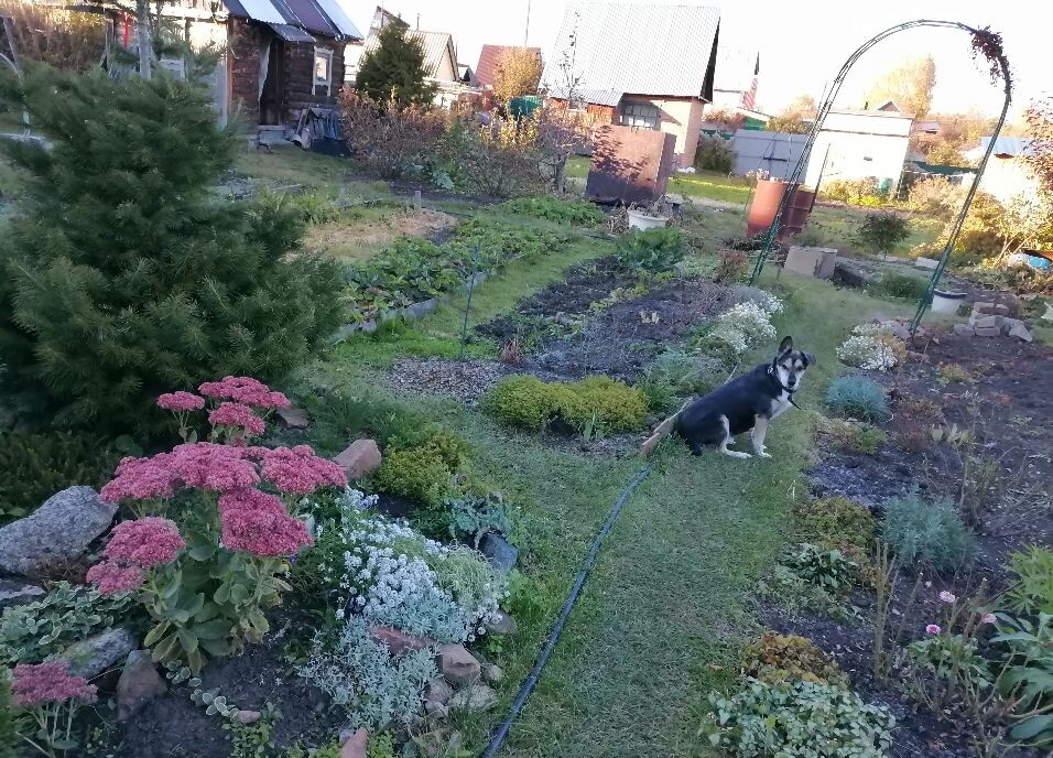 Малька снова приехала на дачу - проводить лето