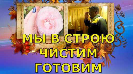 156-24! МЫ В СТРОЮ/ ЗАЧИСТКА ДЕРЕВЬЕВ/ МАКСИМ СТАВИТ ВИНА/ УТРО В ЦВЕТАХ 🌹