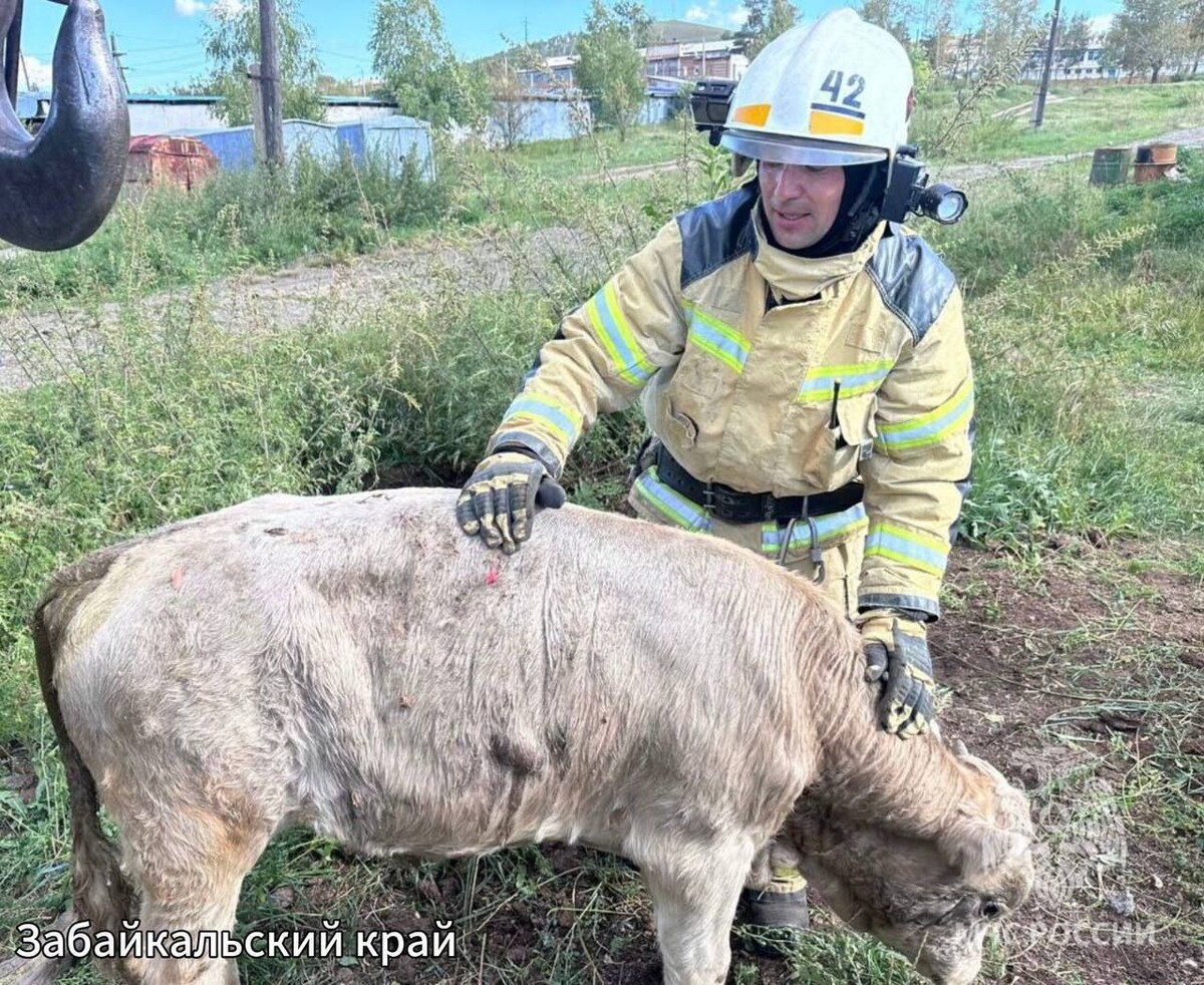    Фото: Пресс-служба ГУК МЧС России по Забайкальскому краю