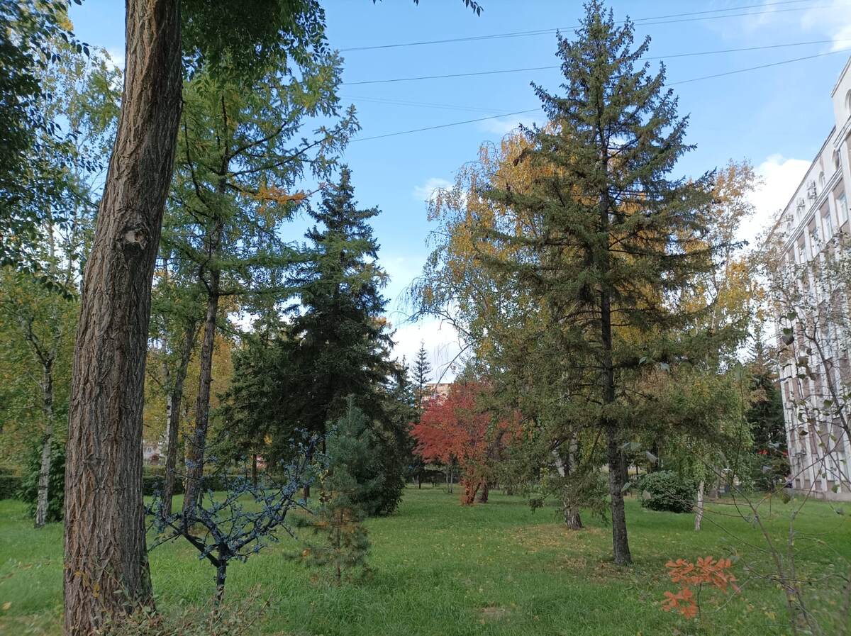 Фотографии сделаны автором