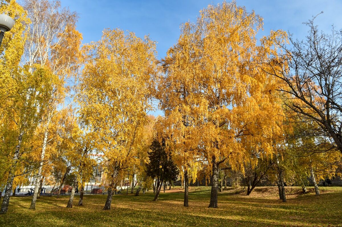    © Константин Долгановский