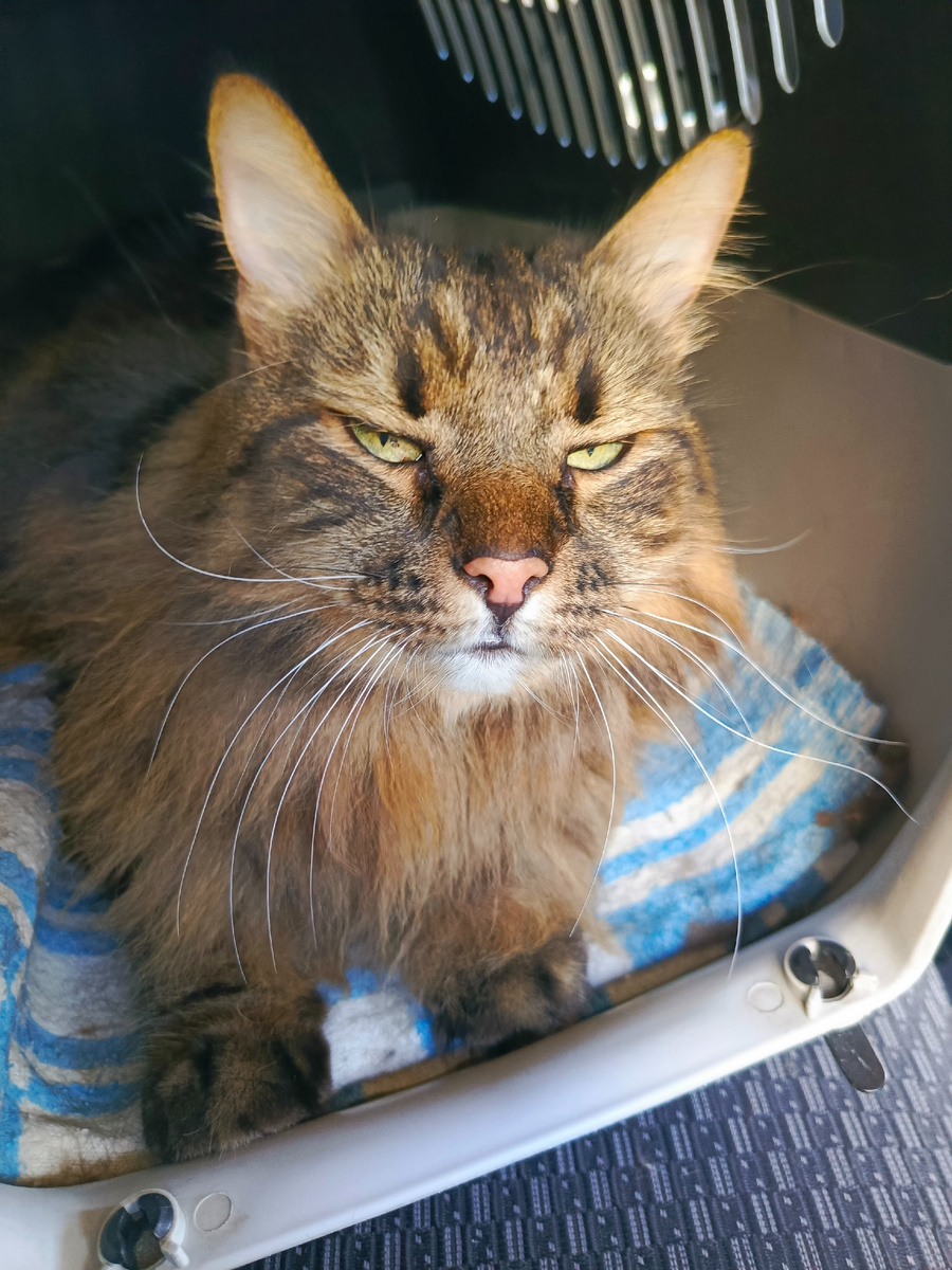 Взгляд у меня тут такой интересный, будто план мести придумываю.