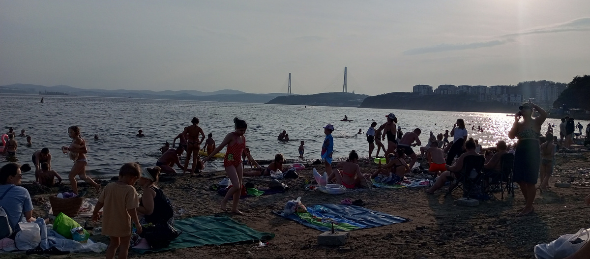Здесь впервые увидели мост