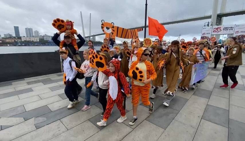    Источник фото: