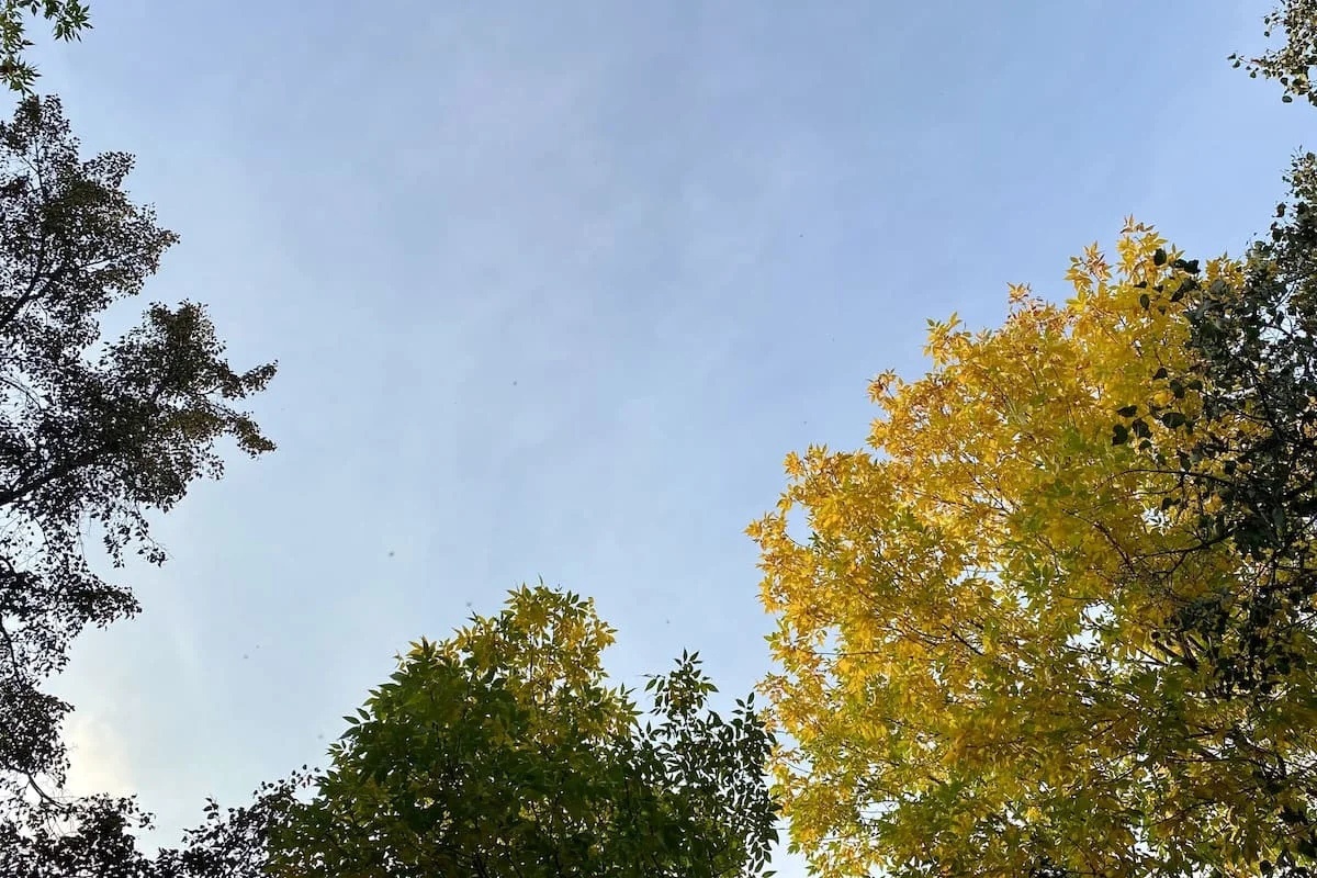 Фото: UfaTime.ru