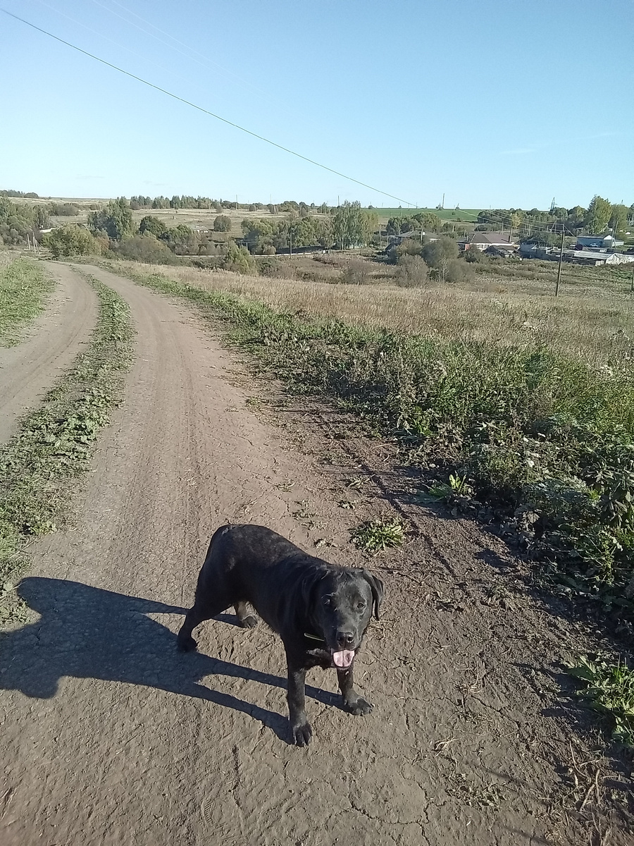 Фото автора.