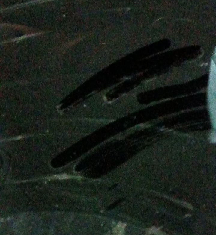 Налёт был замечен ещё ночью везде по городу.