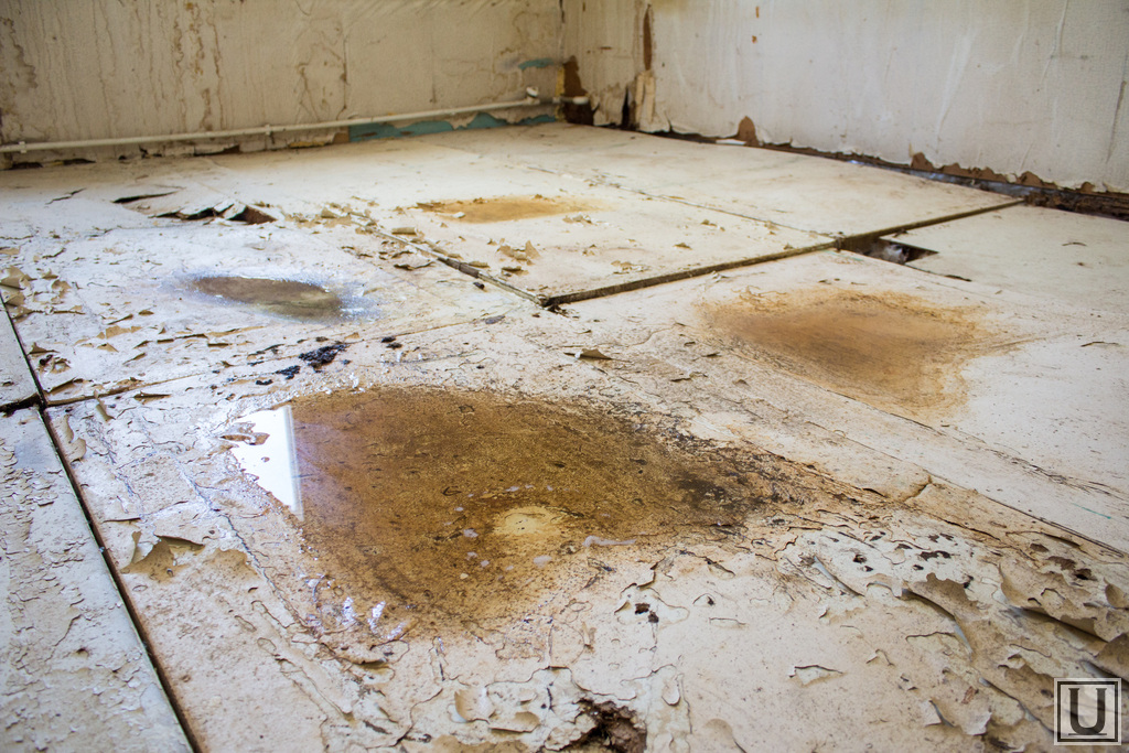 Яндекс.картинки