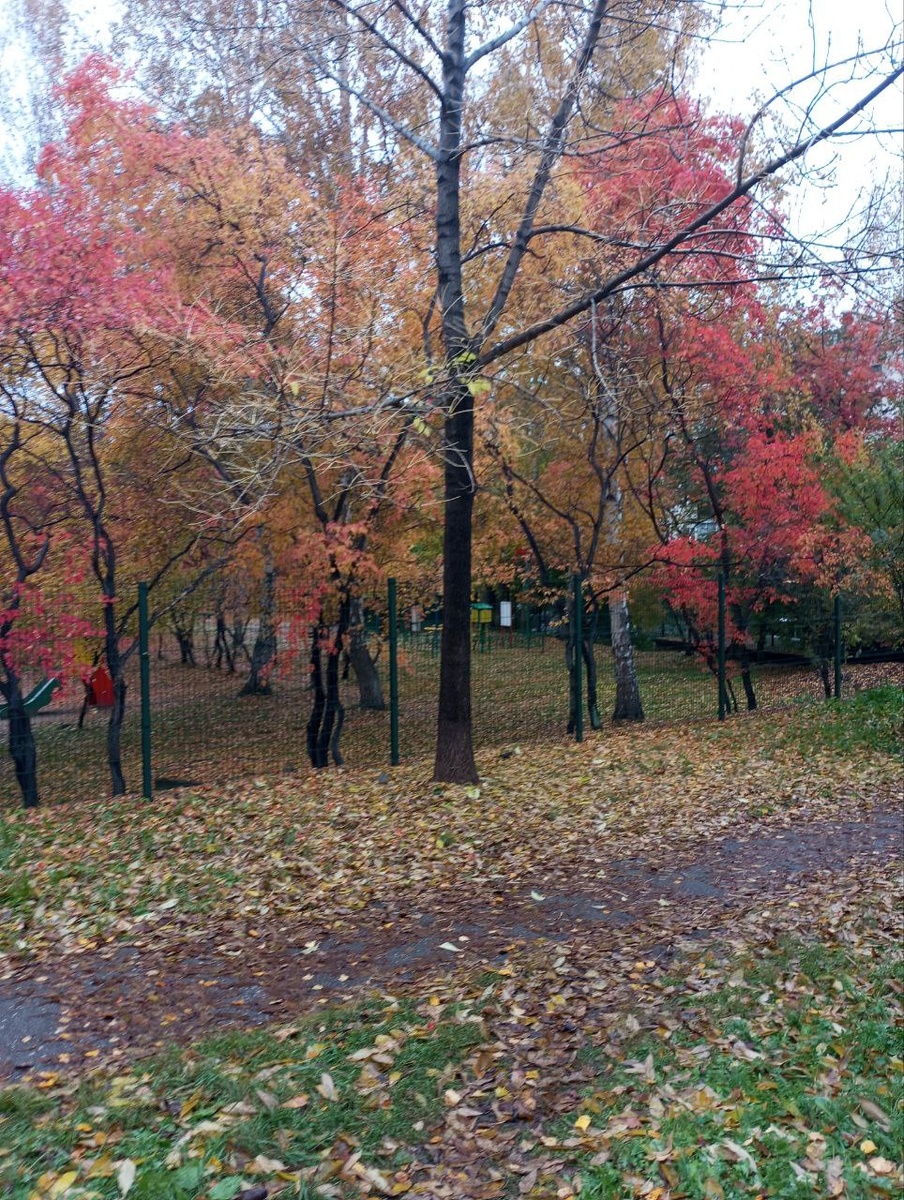 Фото автора.