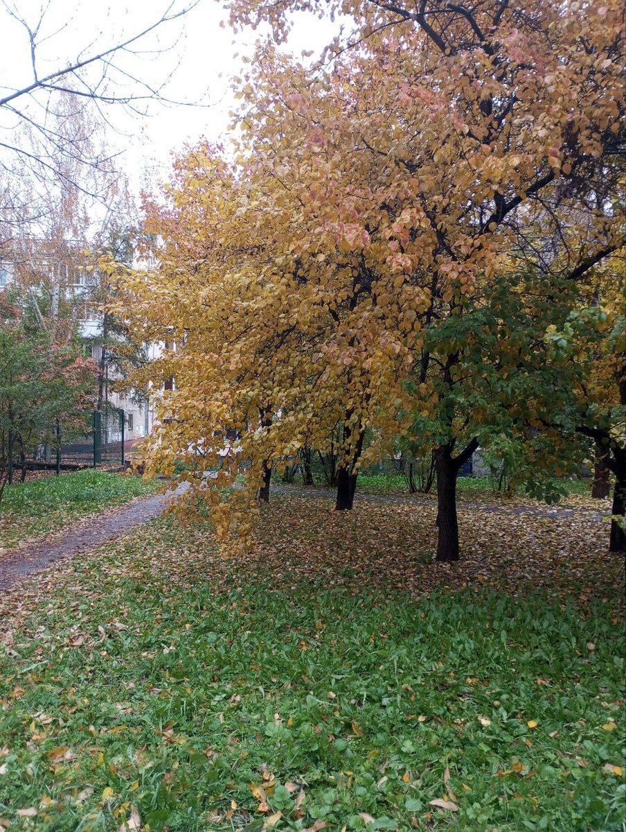 Фото автора.