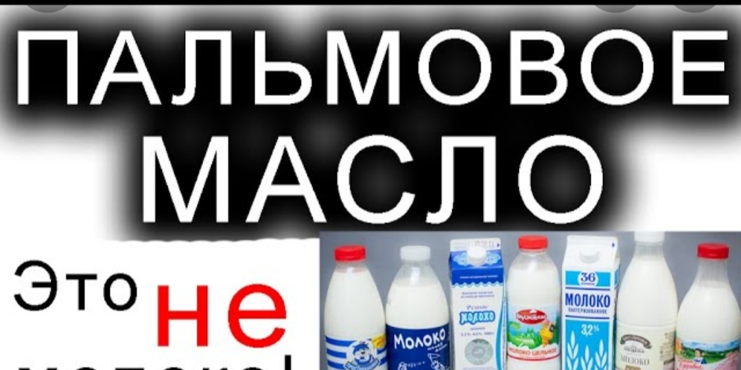 Снова о пальмах и масле