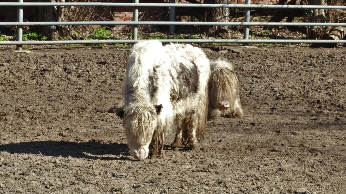     Источник: 1MI