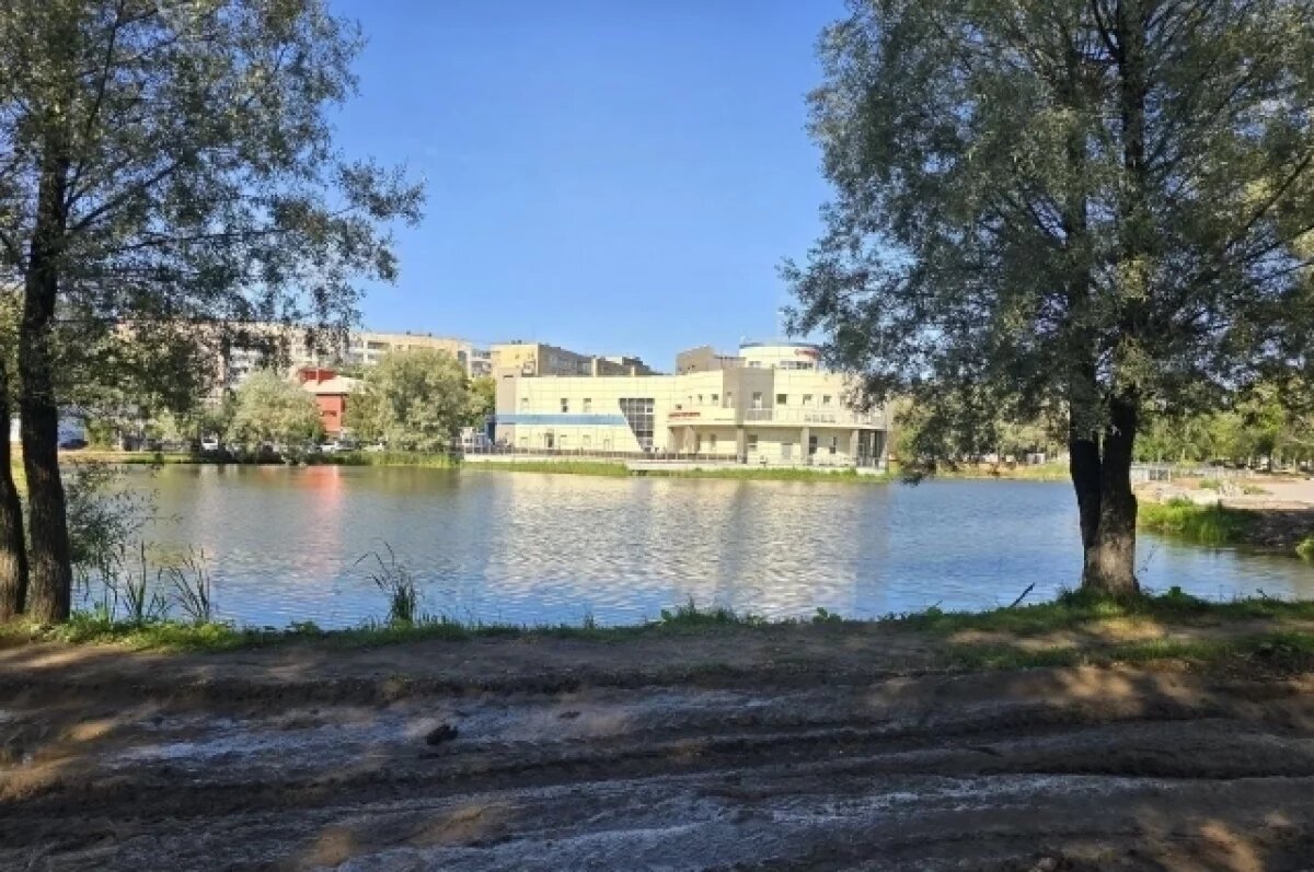    В Ярославле ищут подрядчика на очистку прудов в парке 30-летия Победы